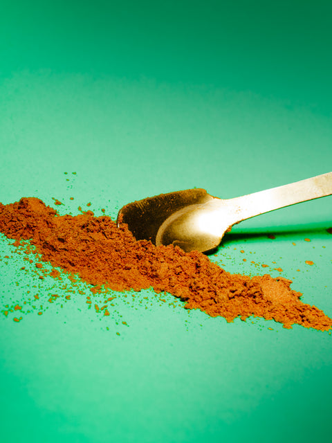 Rooibos w proszku